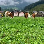 Panorama Semslach *