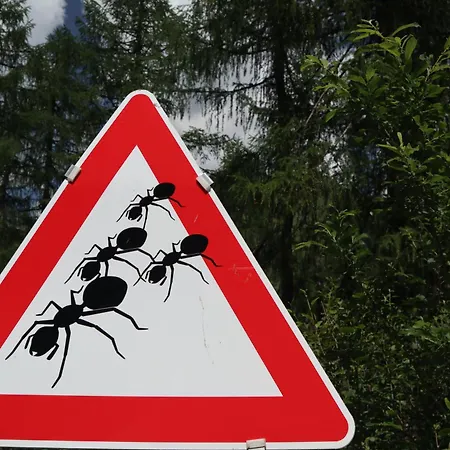 Panorama Semslach * 오버벨라흐